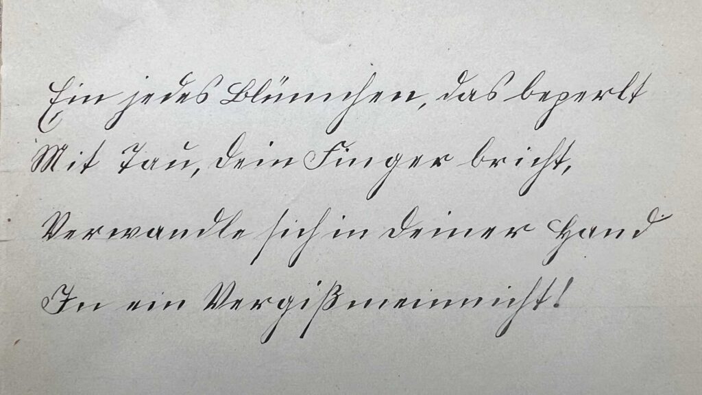 Sütterlin-Kurse – Mit Videolernkursen Sütterlin lernen und üben.